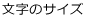 文字サイズ